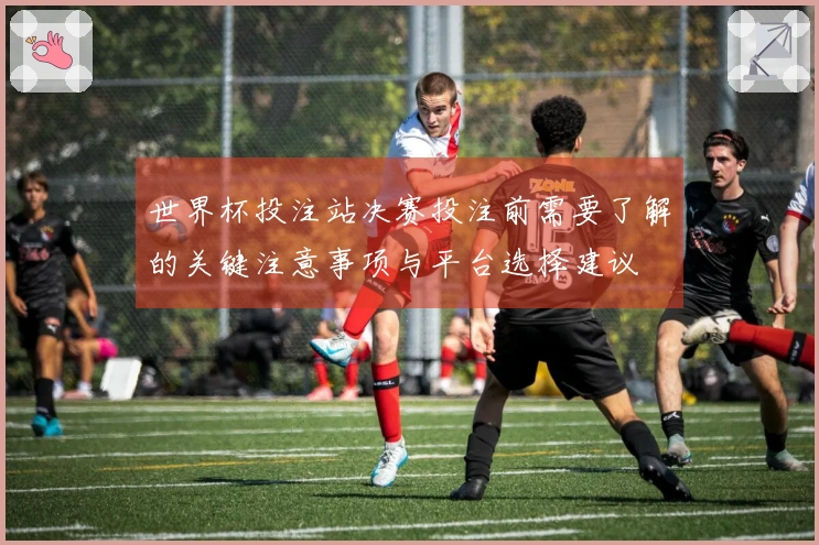 世界杯投注站决赛投注前需要了解的关键注意事项与平台选择建议