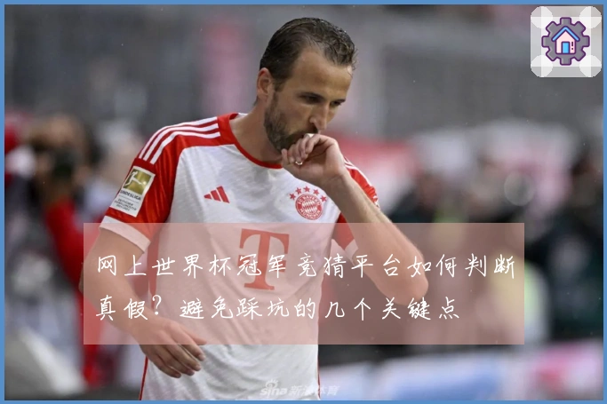 网上世界杯冠军竞猜平台如何判断真假？避免踩坑的几个关键点