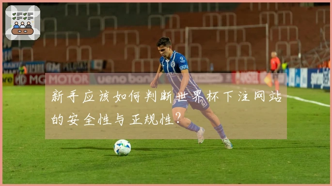 新手应该如何判断世界杯下注网站的安全性与正规性？