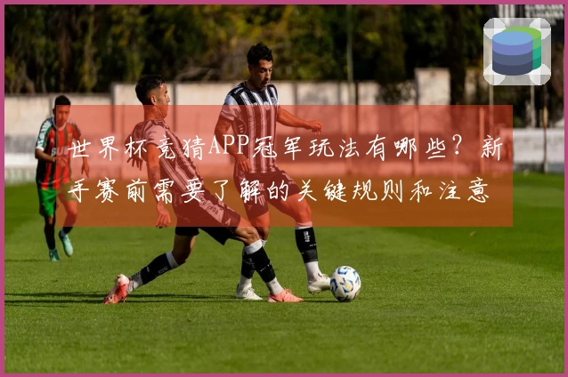 世界杯竞猜APP冠军玩法有哪些？新手赛前需要了解的关键规则和注意事项