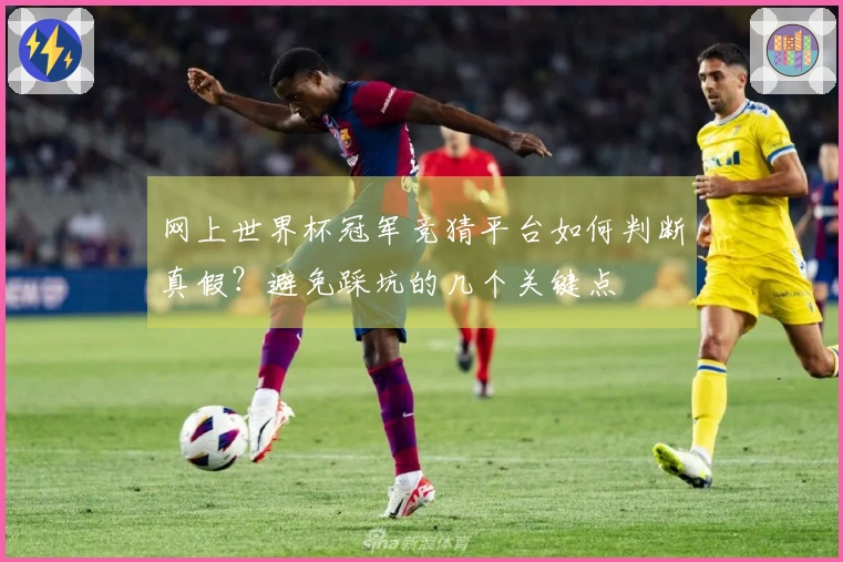 网上世界杯冠军竞猜平台如何判断真假？避免踩坑的几个关键点