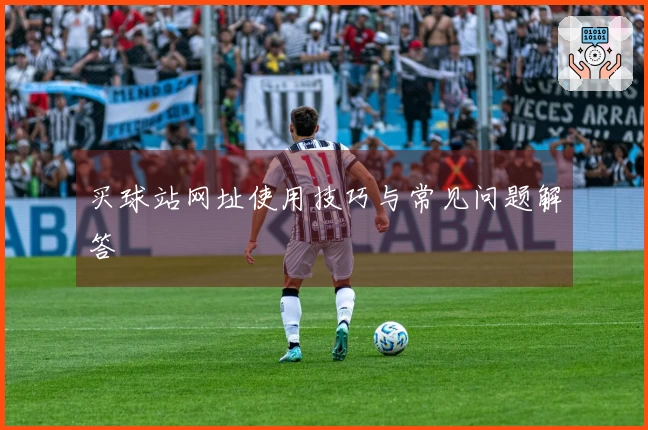 买球站网址使用技巧与常见问题解答