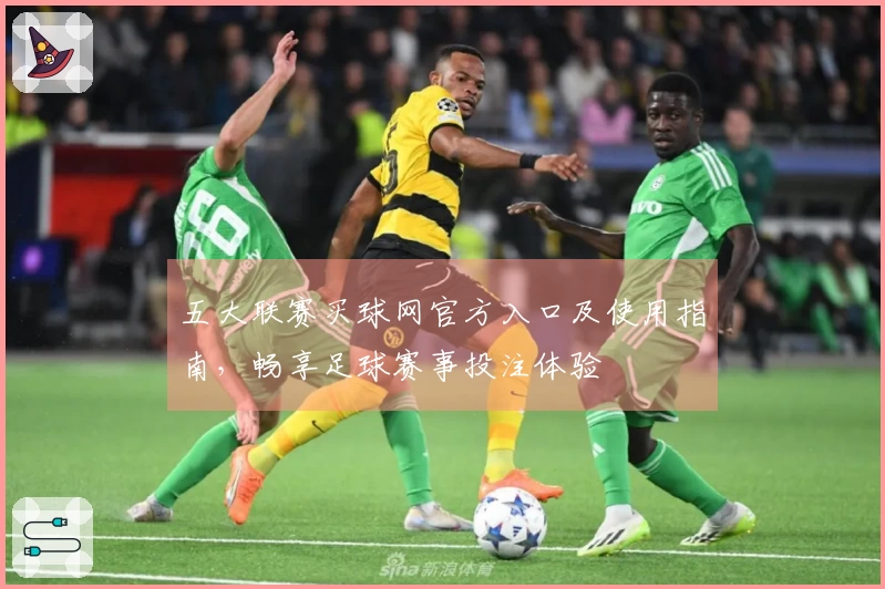 五大联赛买球网官方入口及使用指南，畅享足球赛事投注体验