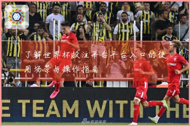 了解世界杯投注平台平台入口的使用场景与操作指南