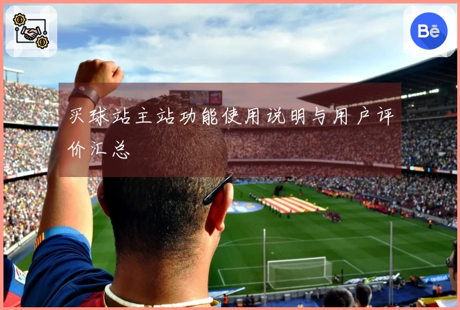 买球站主站功能使用说明与用户评价汇总