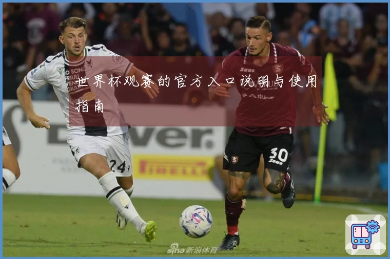 世界杯观赛的官方入口说明与使用指南