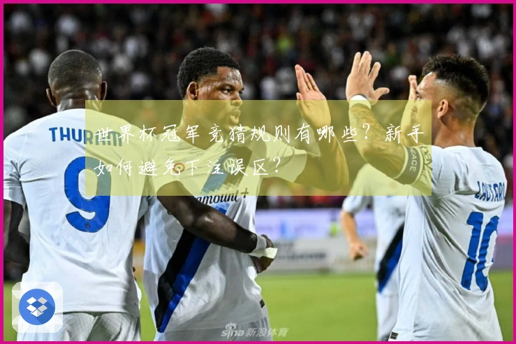 世界杯冠军竞猜规则有哪些？新手如何避免下注误区？