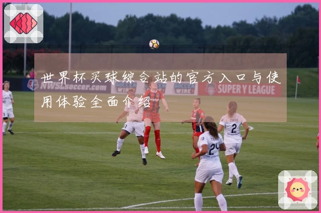 世界杯买球综合站的官方入口与使用体验全面介绍