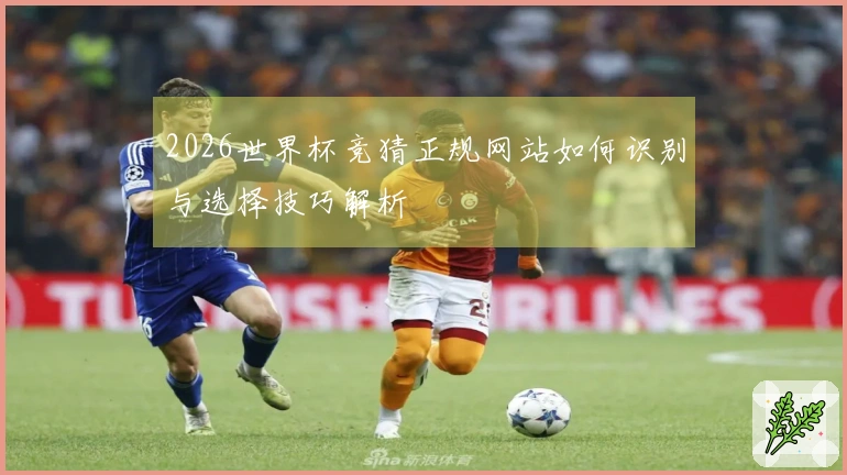 2026世界杯竞猜正规网站如何识别与选择技巧解析