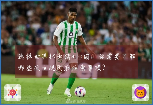 选择世界杯竞猜app前，你需要了解哪些投注规则和注意事项？