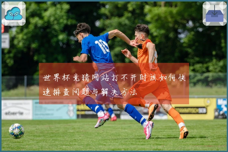 世界杯竞猜网站打不开时该如何快速排查问题与解决方法