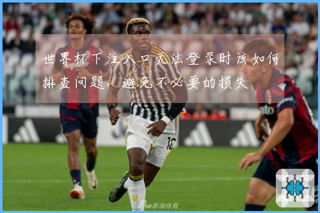 世界杯下注入口无法登录时该如何排查问题，避免不必要的损失