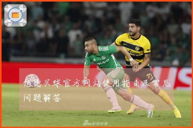 亿德买球官方网站使用指南及常见问题解答