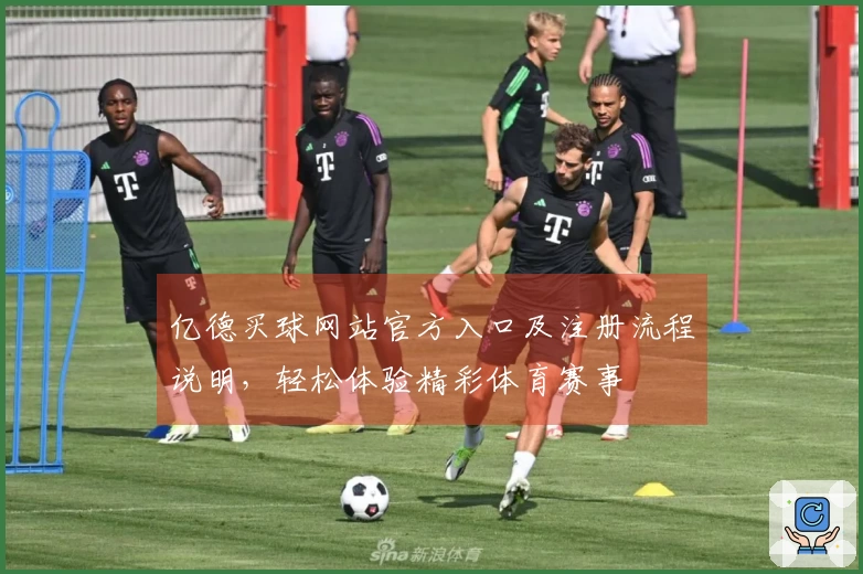 亿德买球网站官方入口及注册流程说明，轻松体验精彩体育赛事