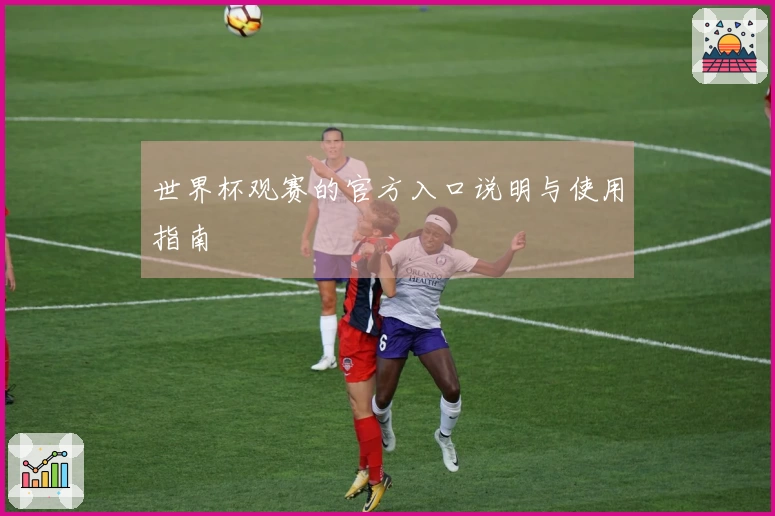 世界杯观赛的官方入口说明与使用指南