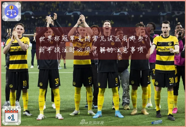 世界杯冠军竞猜常见误区有哪些？新手投注时必须了解的注意事项
