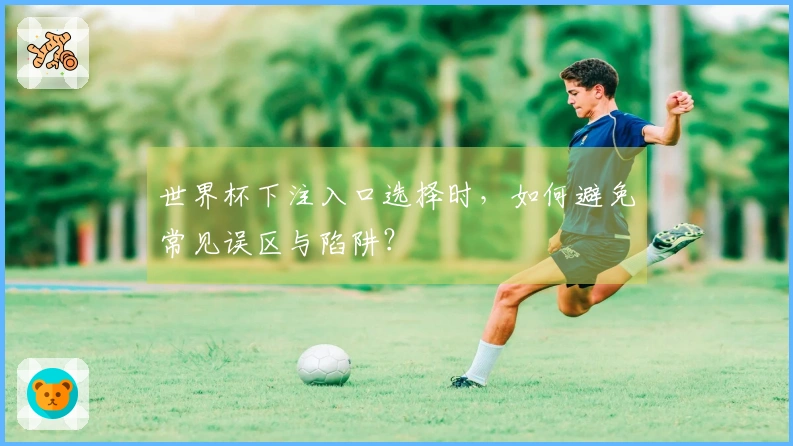 世界杯下注入口选择时，如何避免常见误区与陷阱？