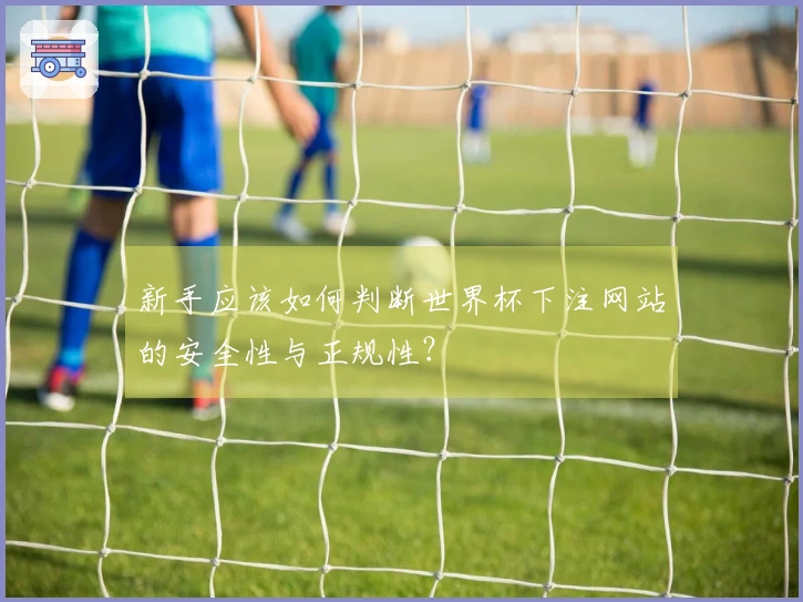 新手应该如何判断世界杯下注网站的安全性与正规性？