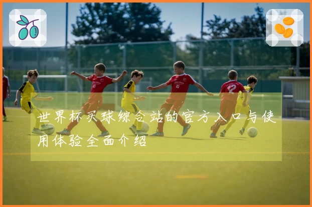 世界杯买球综合站的官方入口与使用体验全面介绍