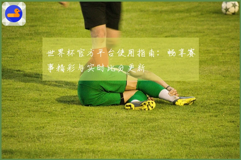 世界杯官方平台使用指南：畅享赛事精彩与实时比分更新