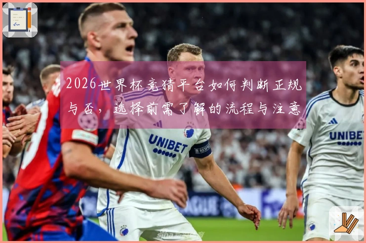 2026世界杯竞猜平台如何判断正规与否，选择前需了解的流程与注意事项